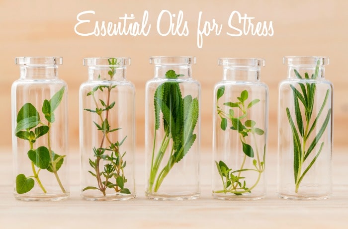 essential-oils-for-stress